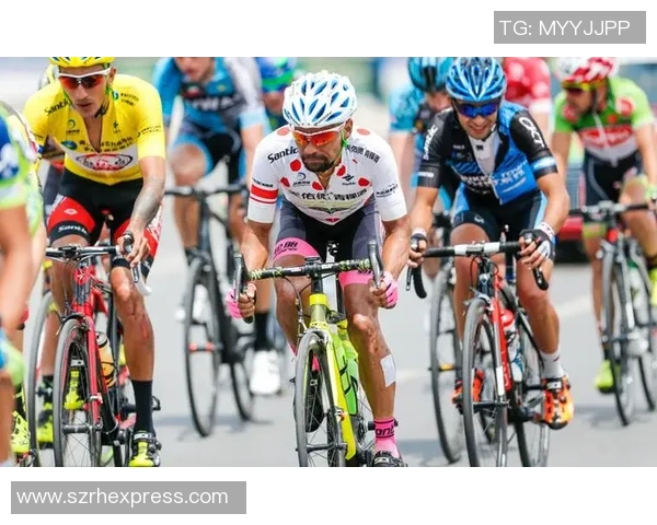 广州排球队在洲际杯积分榜中以77分稳居第一名展现强劲实力