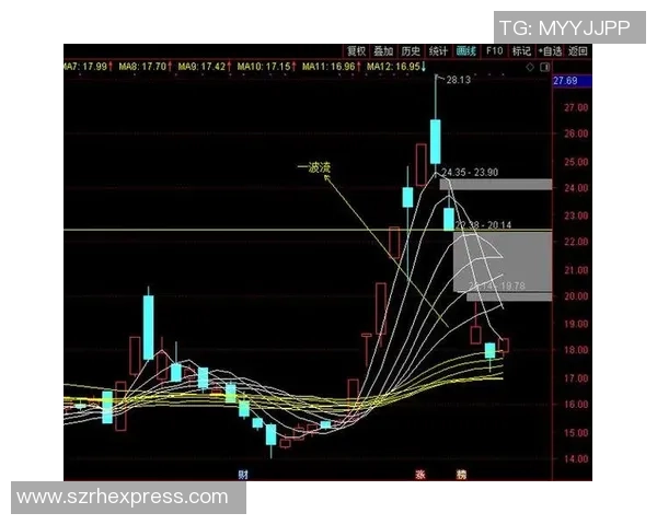 南京排球队精英赛征程揭秘:从挑战到辉煌的突破之路 南京排球队精英赛征程揭秘:从挑战到辉煌的突破之路